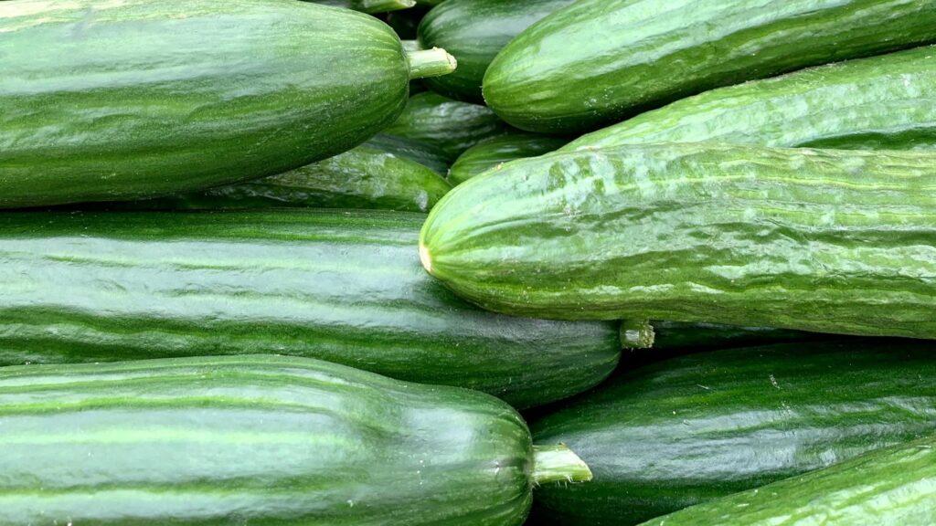 10 Tips voor webwinkeliers in komkommertijd