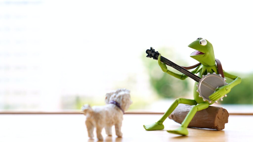 It’s not easy being green: over greenwashing en het belang van transparante duurzaamheidsclaims