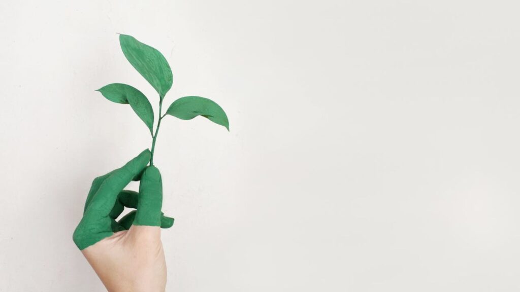 Duurzaamheidsclaims in de e-commerce: Wat zijn de regels?